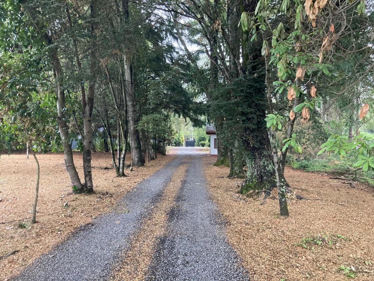 Motel Los Robles Temuco Eksteriør bilde